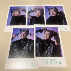 NINE LIVES ミニフォト アロハセット