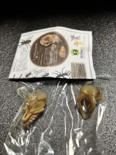 クワガタ カプセルトイ