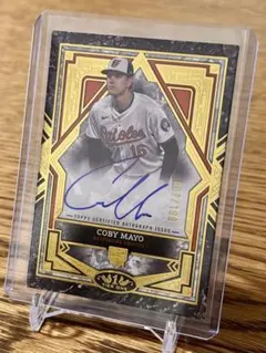 Item thumbnail for item 61fe4d9f-bd5b-4200-8ce6-0f50c3e4c4bb