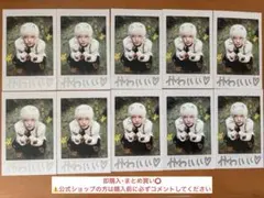 &TEAM Back to Life HARUA チェキ風トレカ 10枚セット