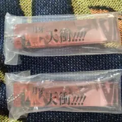 BLEACH 一番くじ　千年決戦篇　F賞　アクリルチャーム　黒崎一護