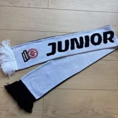 Item thumbnail for item 94711ee3-5efb-4d17-8f67-4655af775839