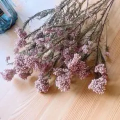 imaruya_108様 リクエスト 3点 まとめ商品