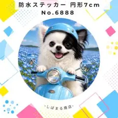 【送料無料❣️】チワワ防水ステッカー 7cm 円形 ネモフィラスクーター