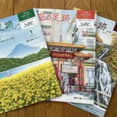 Item thumbnail for item be39d95d-6857-4587-9df0-aeaff7edef1d