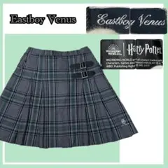 美品✨イーストボーイヴィーナス×ハリーポッター公式スリザリンプリーツスカート１１