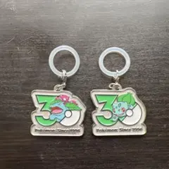 ポケモン　30周年　メタルチャームマスコット