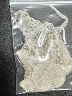 Item thumbnail for item ed136bc2-a57c-4b92-9d79-0304cfb910c9