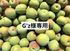 【G'z様専用】和歌山県産　南高梅　約10㎏