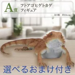 一番くじ フトアゴヒゲトカゲ フィギュア A賞 おまけ付き