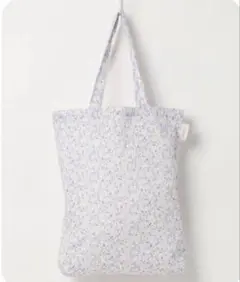 Item thumbnail for item 1b87f49b-e7f8-4400-8658-c1f509d34c30