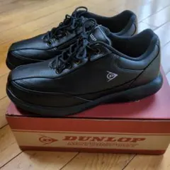 Item thumbnail for item b90694f2-3a38-4969-b690-582106112062