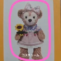 シェリーメイ夏のコスチュームセット✨️ 　　　　　ハンガー付き