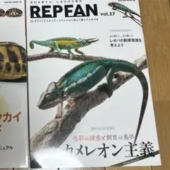REPFANシリーズ No27のみ