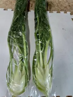 無農薬 フェンネルハーブ 香味・薬味野菜 15〜20センチ10本 - メルカリ