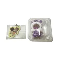 シルバニアファミリー カラフルウサギコスチューム くるみリスの男の子　セット