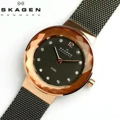 スカーゲン SKAGEN 腕時計 レディース 456SRM スカーゲン