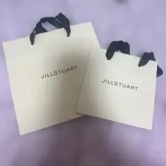 [美品] JILLSTUART ショップ袋 2点セット