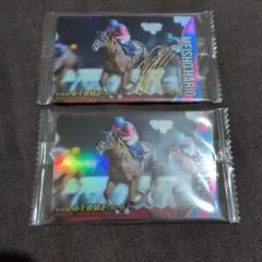 2025年最新】メイショウハリオの人気アイテム - メルカリ