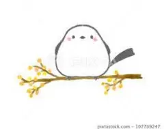 WebEasy Professional