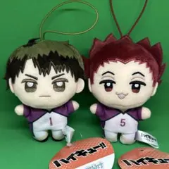 ハイキュー ぬいぷりけmini 2 牛島若利 天童覚