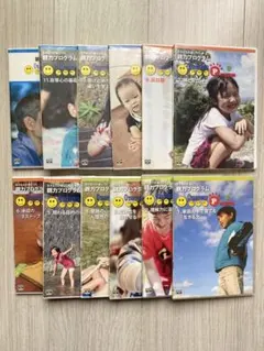 【SPS DVD】センター現代文完全攻略ゼミ 直前対策編　出口汪　元東進・代ゼミ SPS DVD】センター現代文完全攻略ゼミ 直前対策編 出口汪 元東進