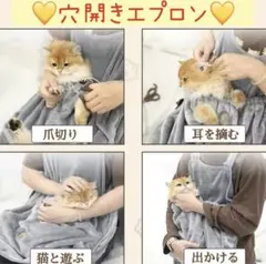 Item thumbnail for item 754ac06f-bde8-4827-95e4-c4b6f503666b