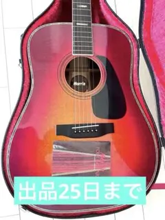 TＦ-Morris W80スプルーストップ、ハカランダ、スリーピースバック W-80 | 生産完了品 | MORRIS GUITARS モーリスギター