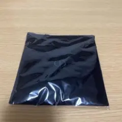 Diorノベルティミニ巾着