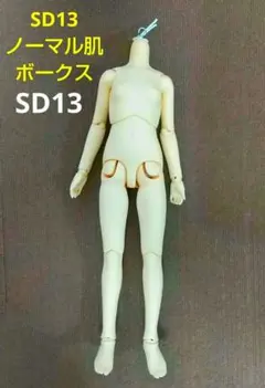 ボークス スーパードルフィー 里限定SD13 精霊ボディ ホワイト肌 新品 