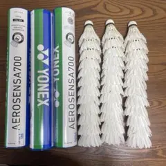 Item thumbnail for item 17a87a87-6629-4155-b04f-34ab22d65751