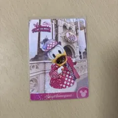 ドナルド フォトカード ミニーのファンダーランド