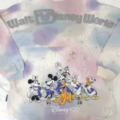WDW ディズニー 100周年 スピリット ジャージー Lサイズ