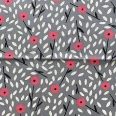 う早この布 50cmカット ＊ 綿麻キャンバス【14】