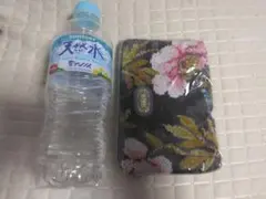 Item thumbnail for item 8e36ea9a-892b-41d2-93b1-7c42e6985e3e