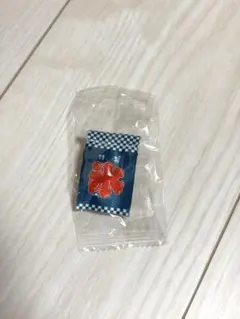 ぱたぱためじるしアクセサリー　〜夏〜（氷）