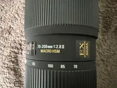 Item thumbnail for item f1c33e1c-8fb1-4524-ac8f-a501fa9fd4de