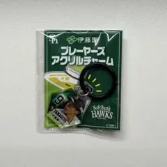 【九州限定】福岡ソフトバンクホークス 柳田選手プレーヤーズめじるしマーカー