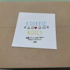 KO1KEYZ ファンミ Pluschatステッカー シンヘン
