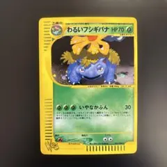 2025年最新】わるいフシギバナ webの人気アイテム - メルカリ