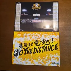 阪神タイガース 2025クライマックス 来場記念ポスター 二枚セット