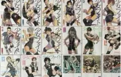 【裁断済】少女ファイト 既巻全18巻 日本橋ヨヲコ