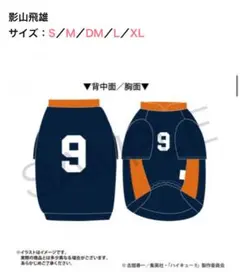 ハイキュー!! ペットユニフォーム L 影山飛雄