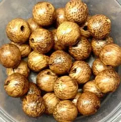 B418　希少ブルネイ産　アガーウッド（沈香木）6.5ミリ