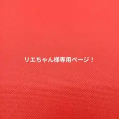 リエちゃん様専用ページ！