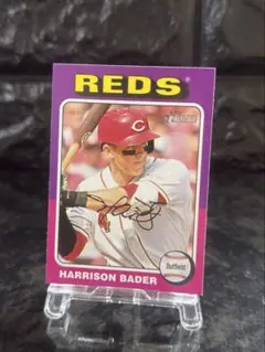 2026年最新】ハリソン・ベイダーの人気アイテム - メルカリ