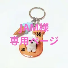 【１点限定】マルチーズキーホルダー　犬　動物　2D　イニシャル 1点限定】マルチーズキーホルダー 犬 動物 2D イニシャル - メルカリ