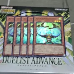 【遊戯】メンタルプロシージャー【スーパー/効果】DUAD-JP015　5枚