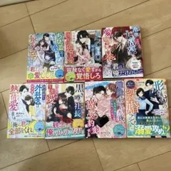 ベリーズ文庫　2025年10月発売分