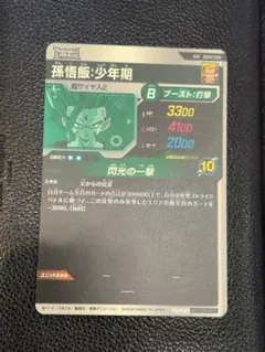 専用　mone様